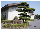 藤沢市斎場(大庭斎場)の外観